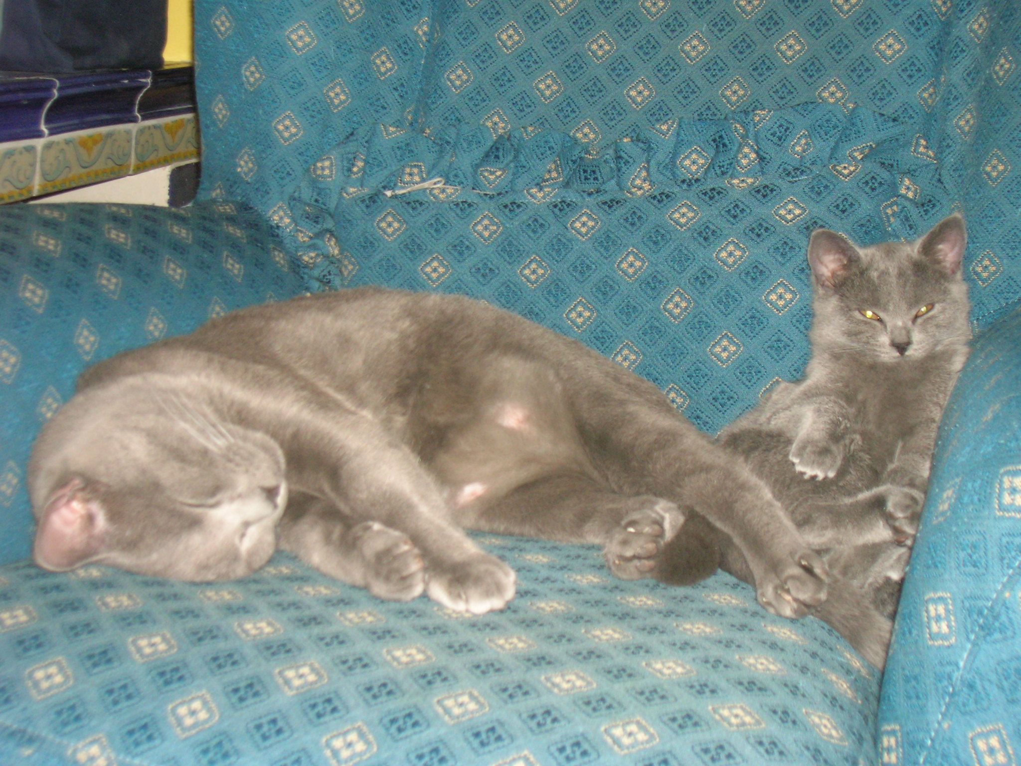 Olimpia