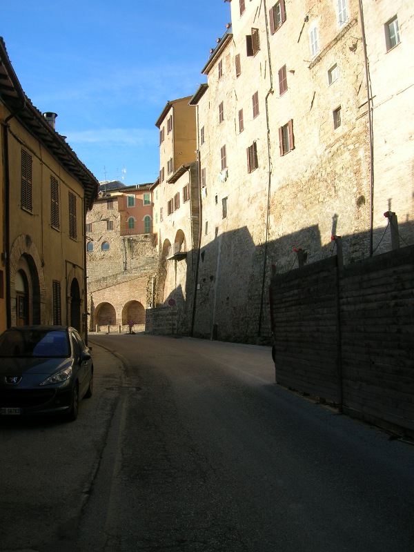 orto01