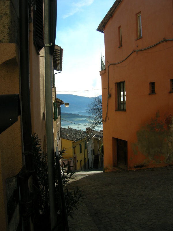 orto03
